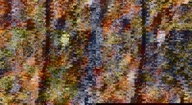 Ruben Gutierrez Hjcywuqqkyy Unsplash