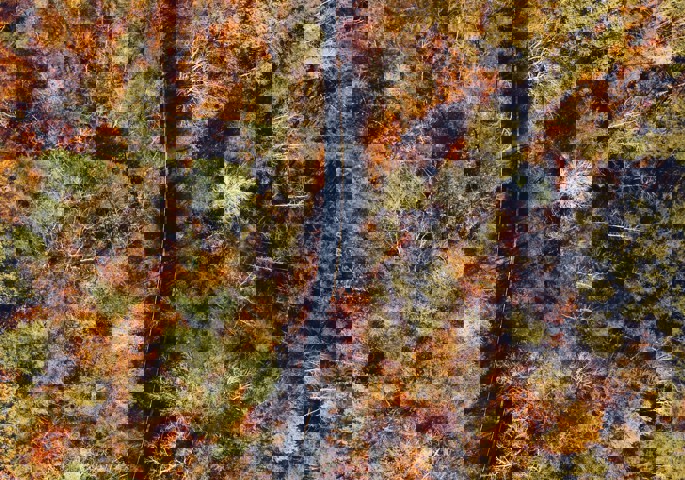 Ruben Gutierrez Hjcywuqqkyy Unsplash
